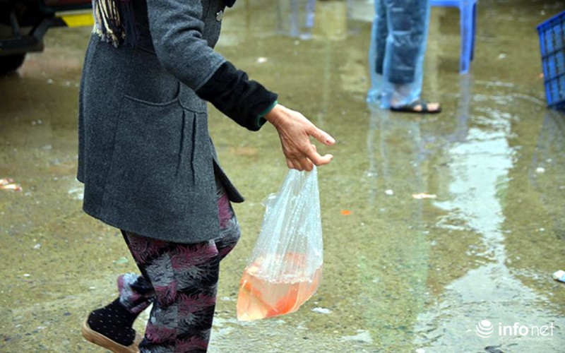 Chợ cá lớn nhất Thủ đô đầy ắp cá chép vàng tiễn ông Táo - ảnh 11