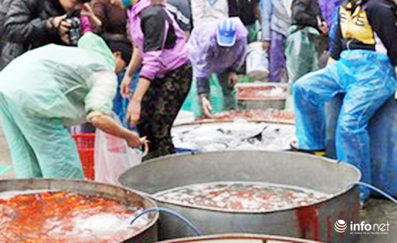 Chợ cá lớn nhất Thủ đô đầy ắp cá chép vàng tiễn ông Táo - ảnh 1