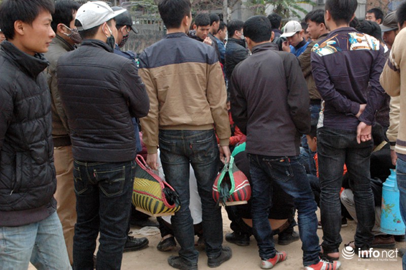 Hội Lim: Nơi hát quan họ hay sới gà sát phạt nhau? - ảnh 3