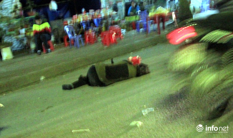 Ăn mày, cờ bạc đền Trần: BTC bảo