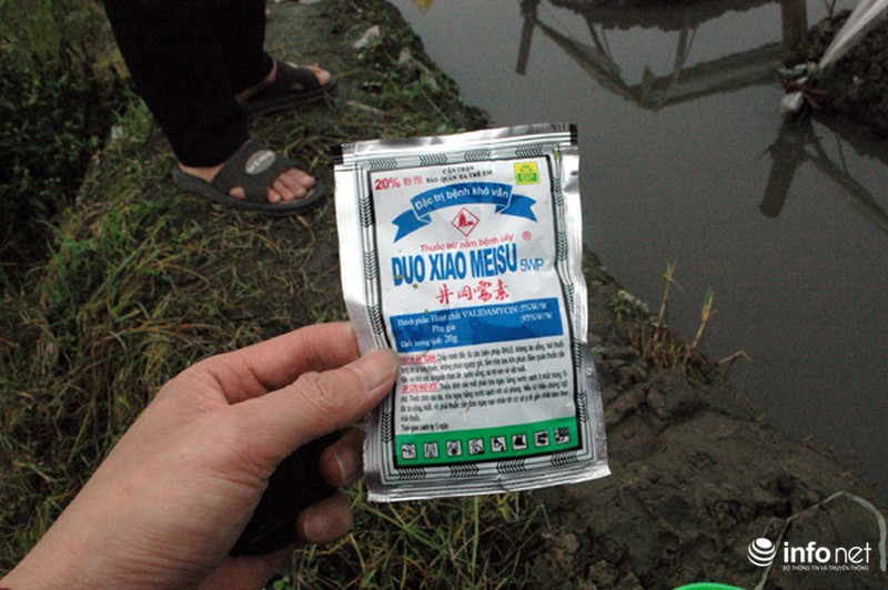 Vùng rau sạch lớn nhất Hà Nội: Rau độc, rau sạch trông chờ... lương tâm - ảnh 10