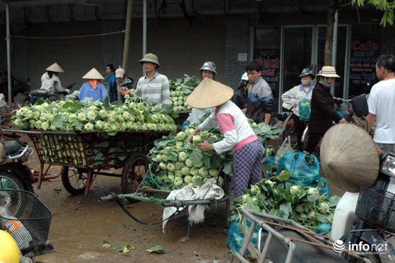 Vùng rau sạch lớn nhất Hà Nội: Rau độc, rau sạch trông chờ... lương tâm - ảnh 13