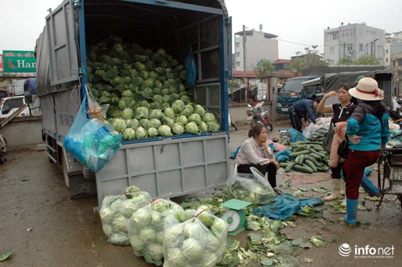 Vùng rau sạch lớn nhất Hà Nội: Rau độc, rau sạch trông chờ... lương tâm - ảnh 14