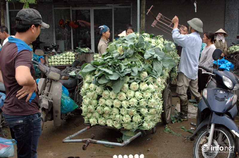Vùng rau sạch lớn nhất Hà Nội: Rau độc, rau sạch trông chờ... lương tâm - ảnh 15