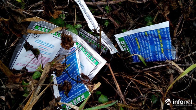 Vùng rau sạch lớn nhất Hà Nội: Rau độc, rau sạch trông chờ... lương tâm - ảnh 1