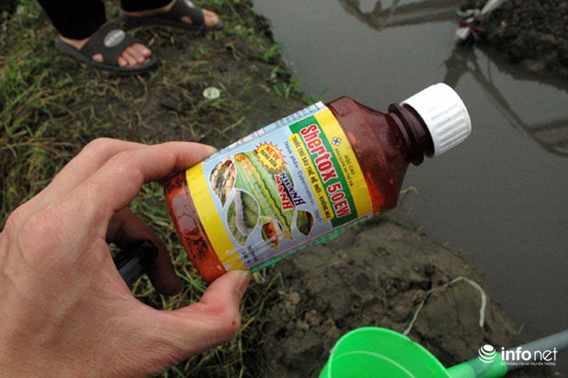 Vùng rau sạch lớn nhất Hà Nội: Rau độc, rau sạch trông chờ... lương tâm - ảnh 9