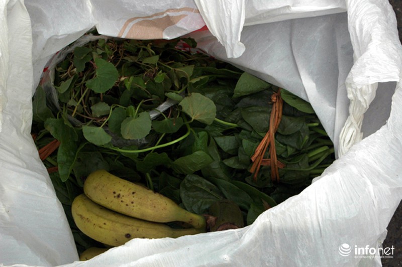 Biển người
