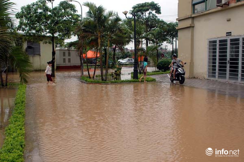 Dân chung cư khốn khổ sau cơn mưa lớn - ảnh 6