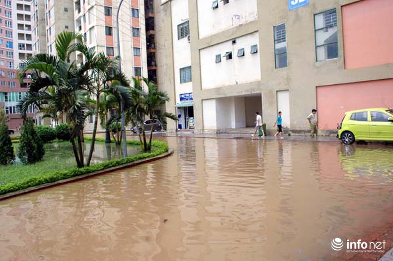 Dân chung cư khốn khổ sau cơn mưa lớn - ảnh 8