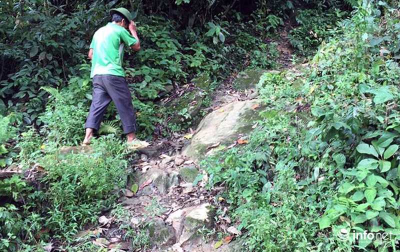 Vụ thảm sát 4 người trong một gia đình ở Lào Cai: Hung thủ phá bồ thóc lấy tiền - ảnh 3