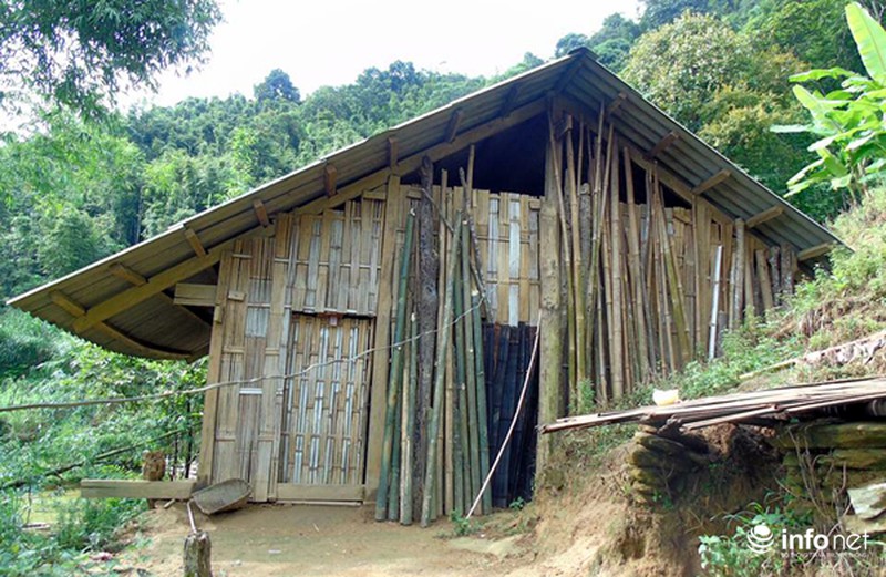 Vụ thảm sát 4 người trong một gia đình ở Lào Cai: Hung thủ phá bồ thóc lấy tiền - ảnh 10