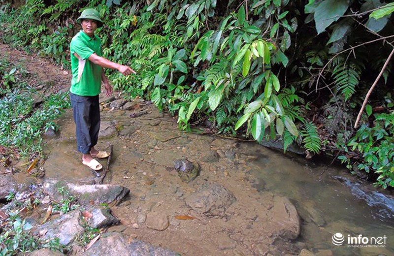 Vụ thảm sát 4 người trong một gia đình ở Lào Cai: Hung thủ phá bồ thóc lấy tiền - ảnh 5
