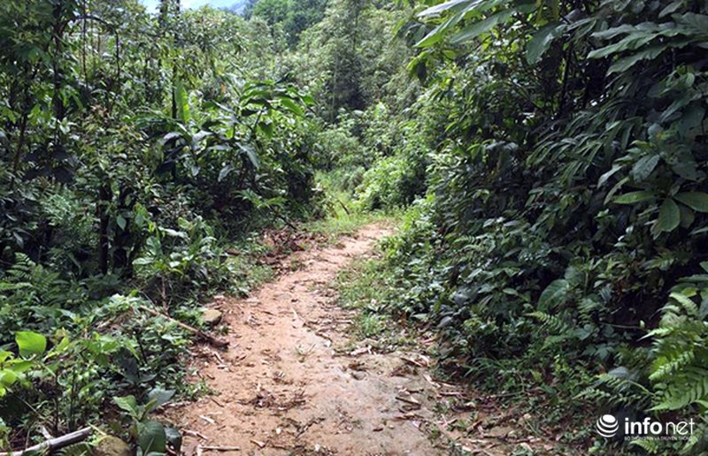 Vụ thảm sát 4 người trong một gia đình ở Lào Cai: Hung thủ phá bồ thóc lấy tiền - ảnh 1