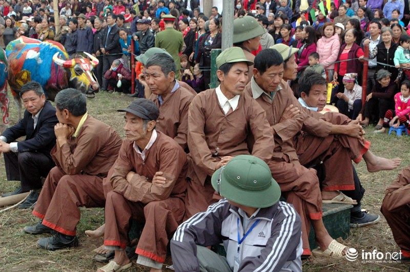 Gà trống hóa trang trên thân trâu ở Lễ hội Tịch Điền - ảnh 2