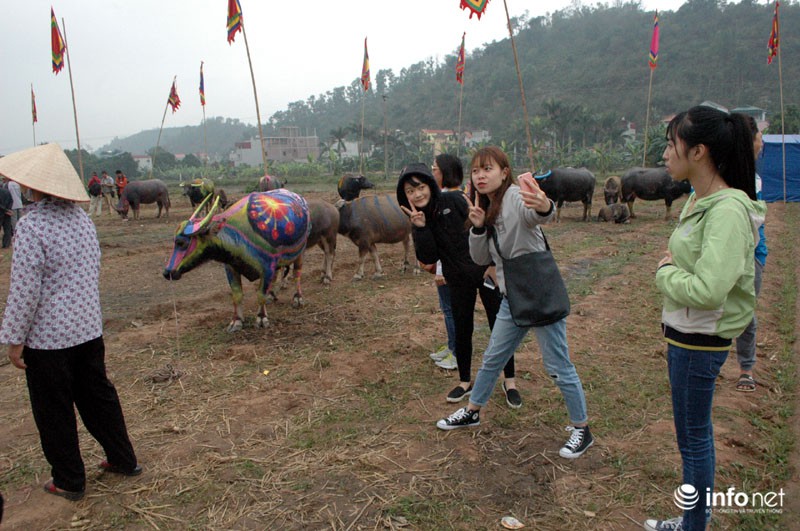 Gà trống hóa trang trên thân trâu ở Lễ hội Tịch Điền - ảnh 5