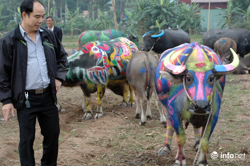 Gà trống hóa trang trên thân trâu ở Lễ hội Tịch Điền - ảnh 6