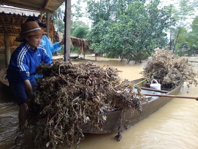 Hà Tĩnh: Lũ chồng lũ, hơn 2.500 hộ dân bị ngập nặng - ảnh 6