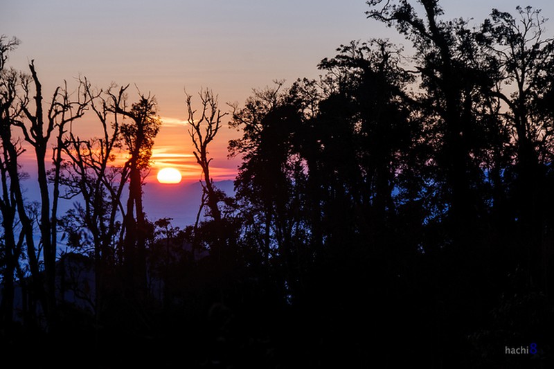 'Đại dương mây' trên đỉnh núi Muối - ảnh 3