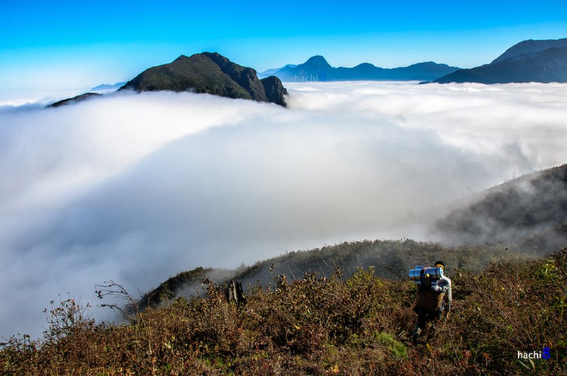 'Đại dương mây' trên đỉnh núi Muối - ảnh 9