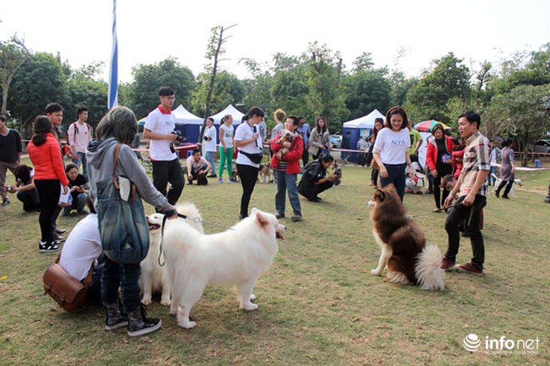 Những hình ảnh đẹp trong