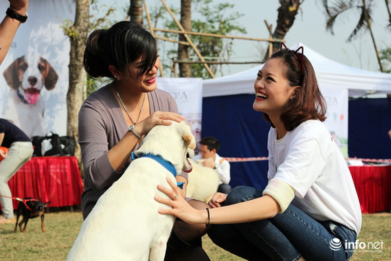 Những hình ảnh đẹp trong