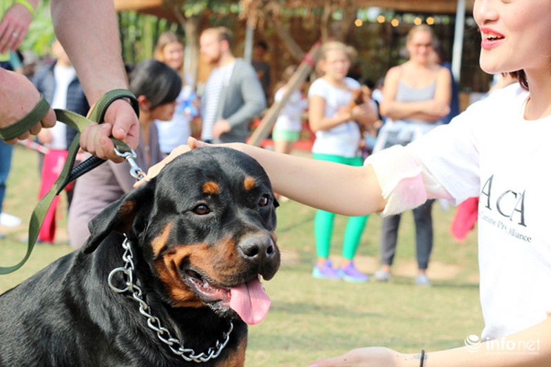 Những hình ảnh đẹp trong