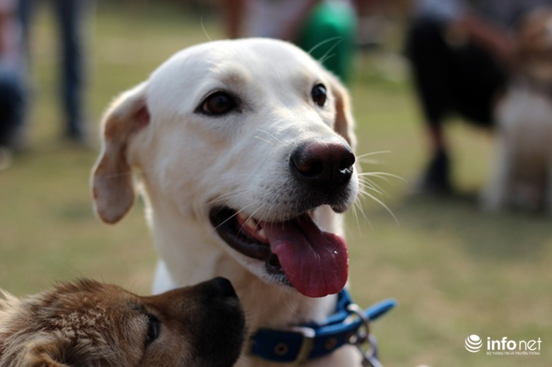 Những hình ảnh đẹp trong