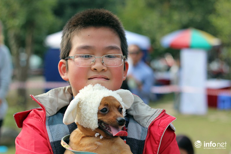 Những hình ảnh đẹp trong