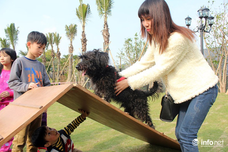 Những hình ảnh đẹp trong