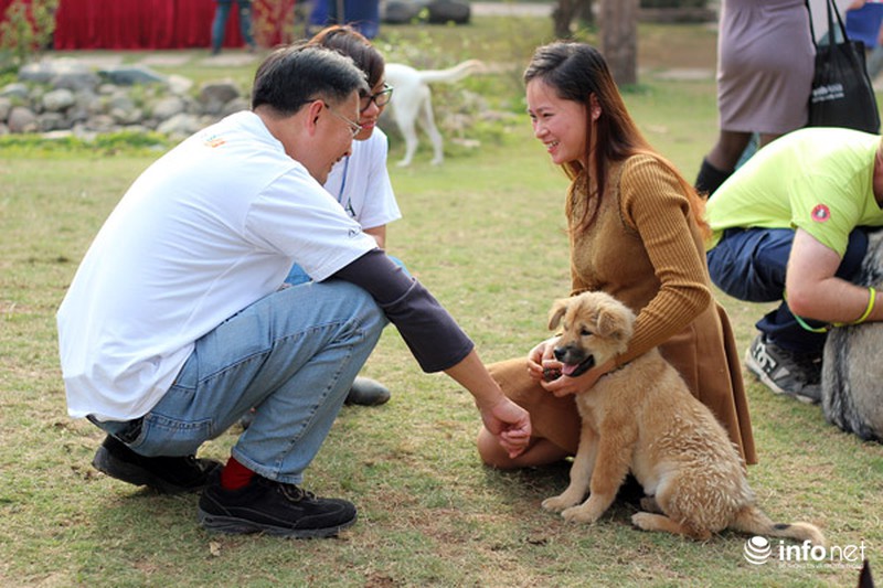 Những hình ảnh đẹp trong