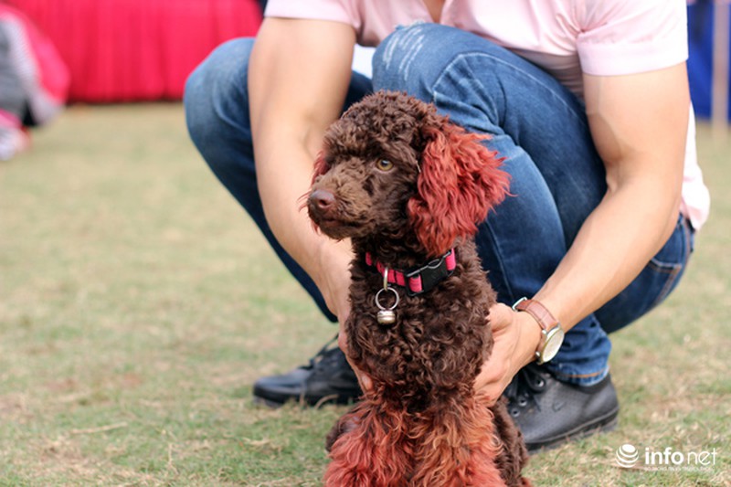 Những hình ảnh đẹp trong