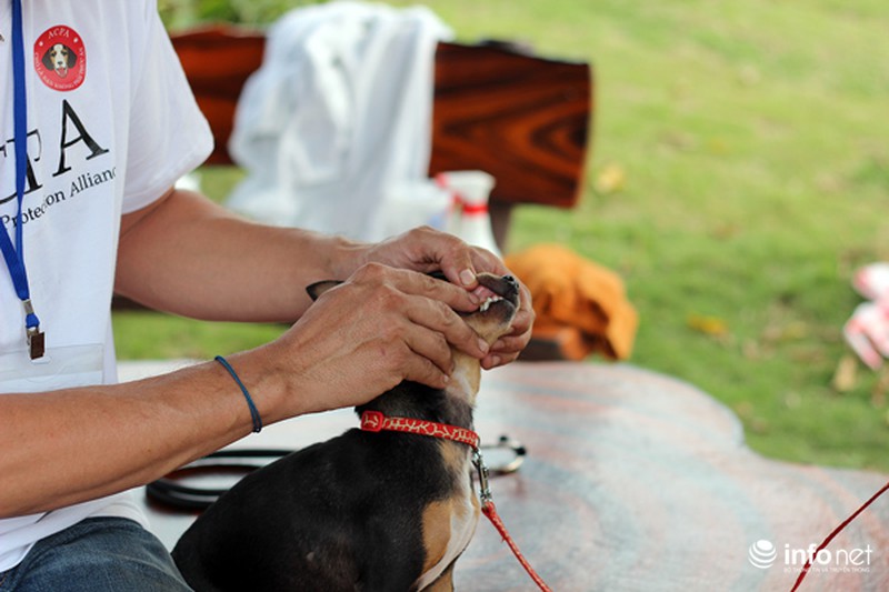 Những hình ảnh đẹp trong