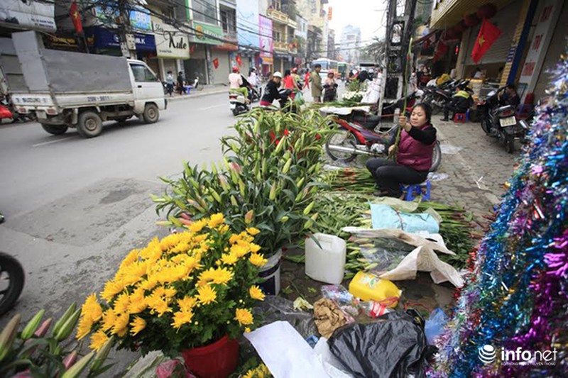 Những góc thanh bình của Hà Nội sáng cuối năm - ảnh 1