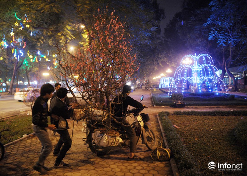 Phũ phàng như phận hoa đào đêm 30 Tết - ảnh 6