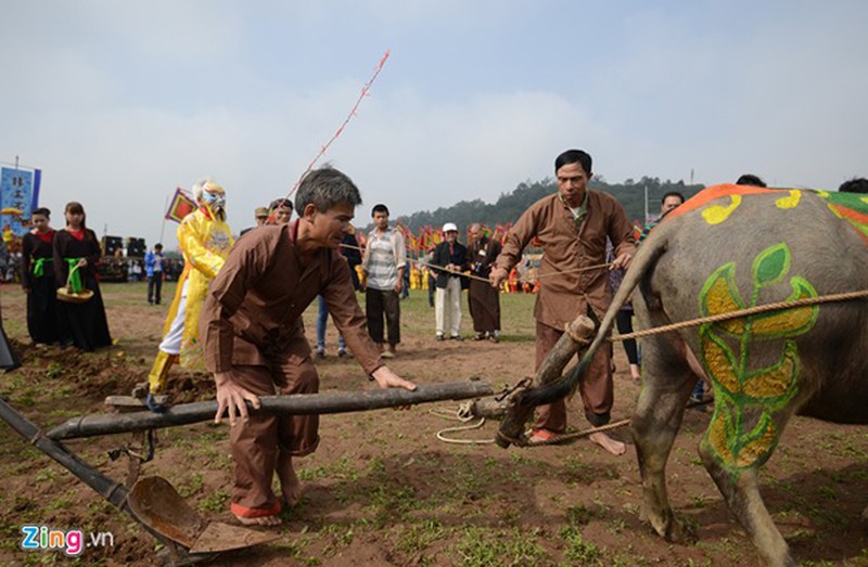 Những chuyện phải