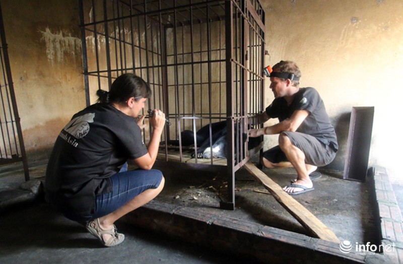 Việt Nam lần đầu tiên cứu hộ gấu trên biển Quảng Ninh - ảnh 3