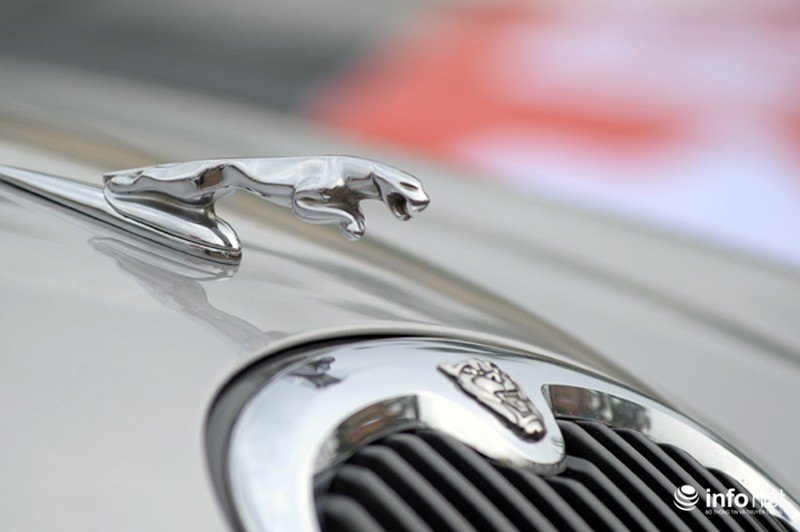 Xe sang tại chợ xế hộp ngoài trời đầu tiên tại Hà Nội - ảnh 10