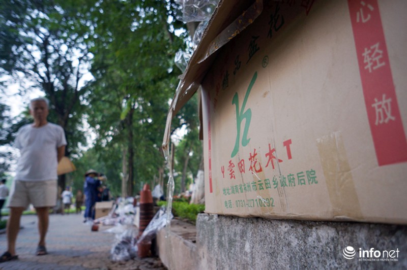 Thủ đô Hà Nội đang được trang trí bằng