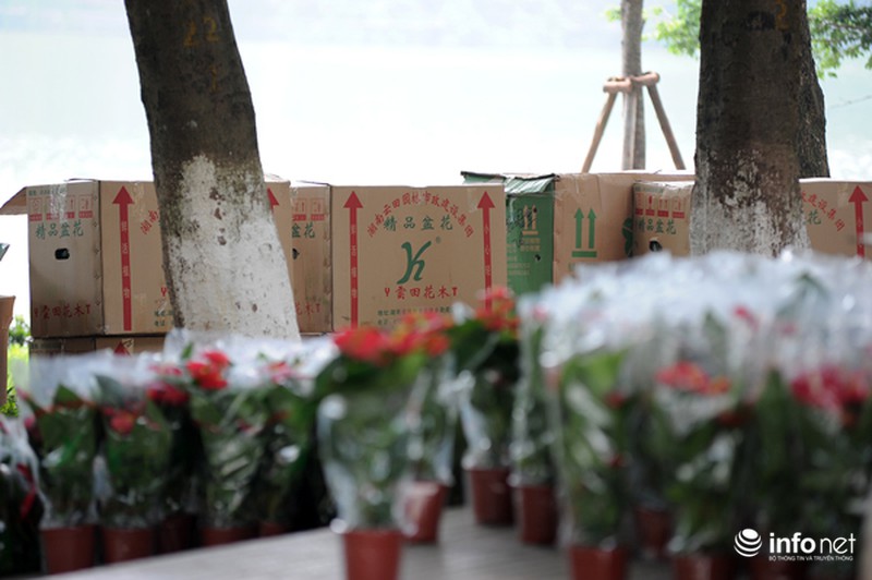 Thủ đô Hà Nội đang được trang trí bằng