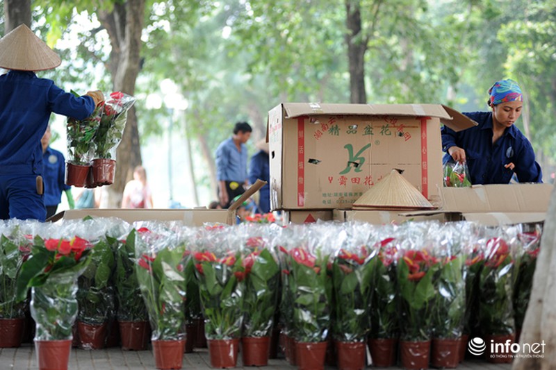Thủ đô Hà Nội đang được trang trí bằng