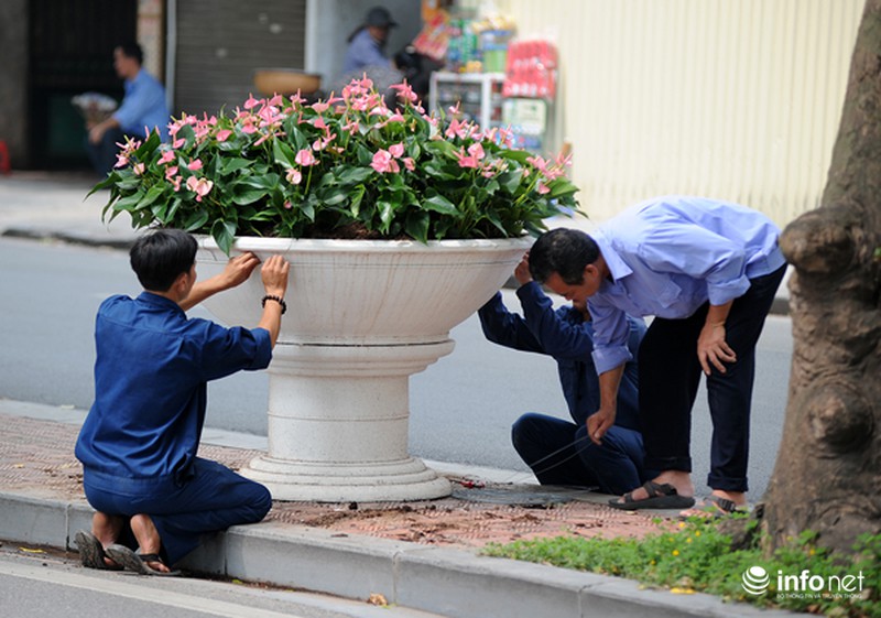 Thủ đô Hà Nội đang được trang trí bằng