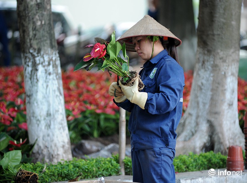 Thủ đô Hà Nội đang được trang trí bằng