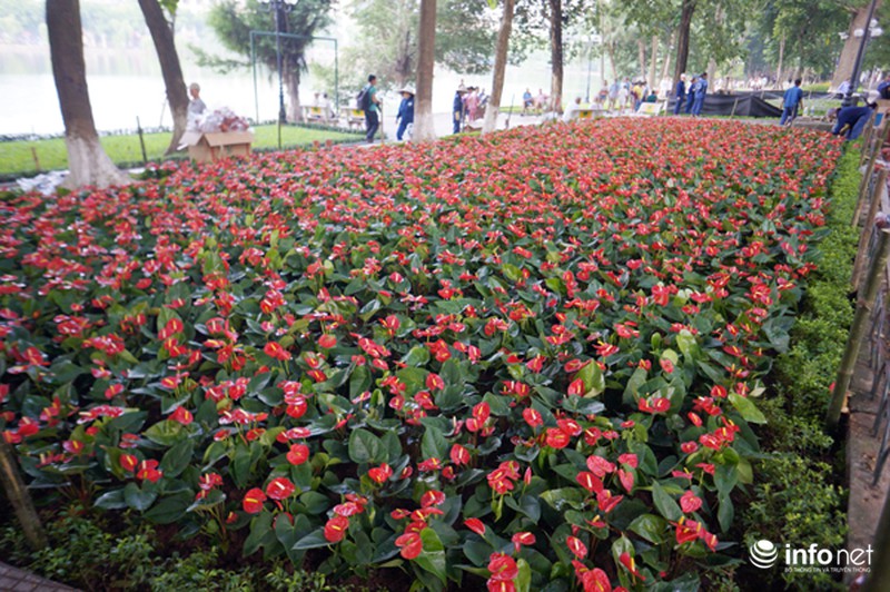 Thủ đô Hà Nội đang được trang trí bằng
