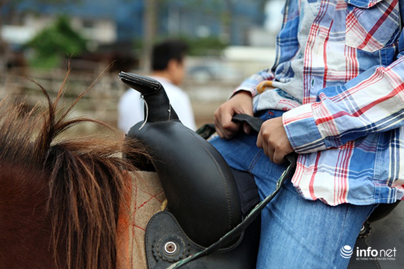 Học cưỡi ngựa: Phương pháp chữa bệnh mới cho trẻ tự kỷ? - ảnh 3