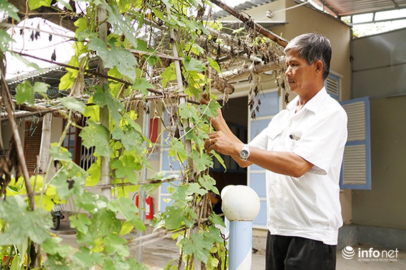 Chuyện người đàn ông dành quyền được sống cho hàng trăm em nhỏ - ảnh 1