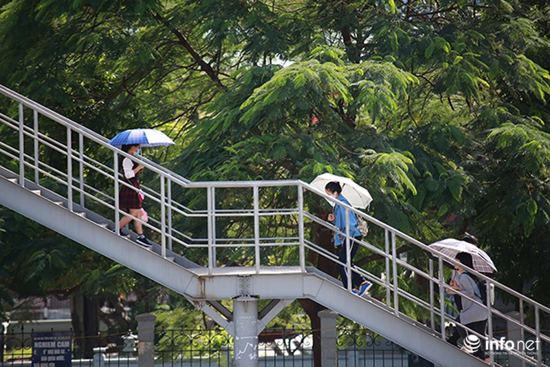 Giữa tháng 11, thời tiết Hà Nội vẫn nóng như đổ lửa - ảnh 8
