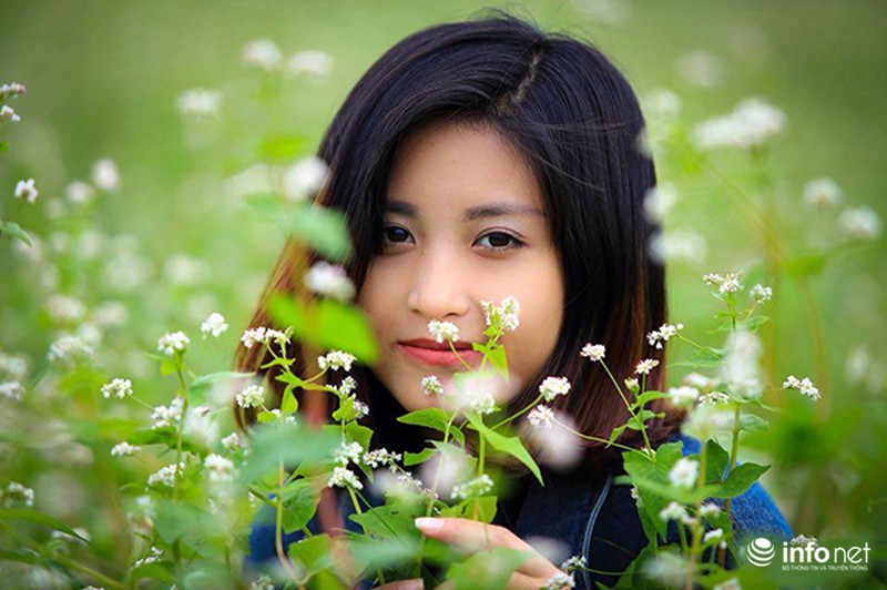 Cận cảnh vườn hoa tam giác mạch giữa lòng Hà Nội - ảnh 2