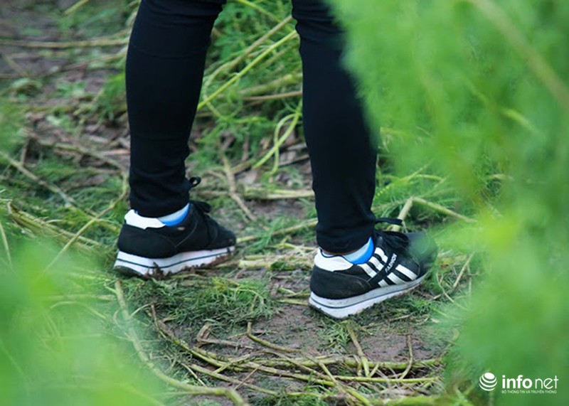 Thung lũng hoa Hồ Tây nát bét, phải đóng cửa sau 3 ngày miễn phí vé vào - ảnh 4