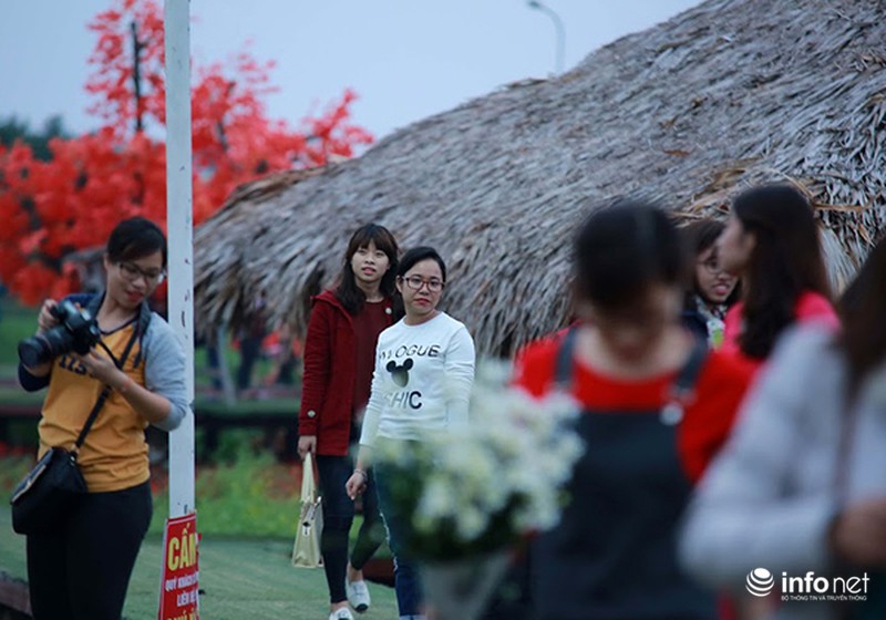 Thung lũng hoa Hồ Tây nát bét, phải đóng cửa sau 3 ngày miễn phí vé vào - ảnh 7