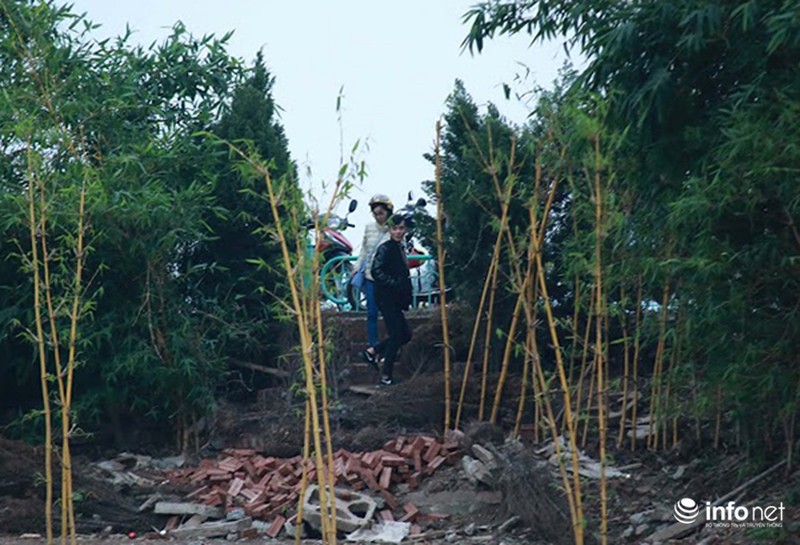 Thung lũng hoa Hồ Tây nát bét, phải đóng cửa sau 3 ngày miễn phí vé vào - ảnh 9
